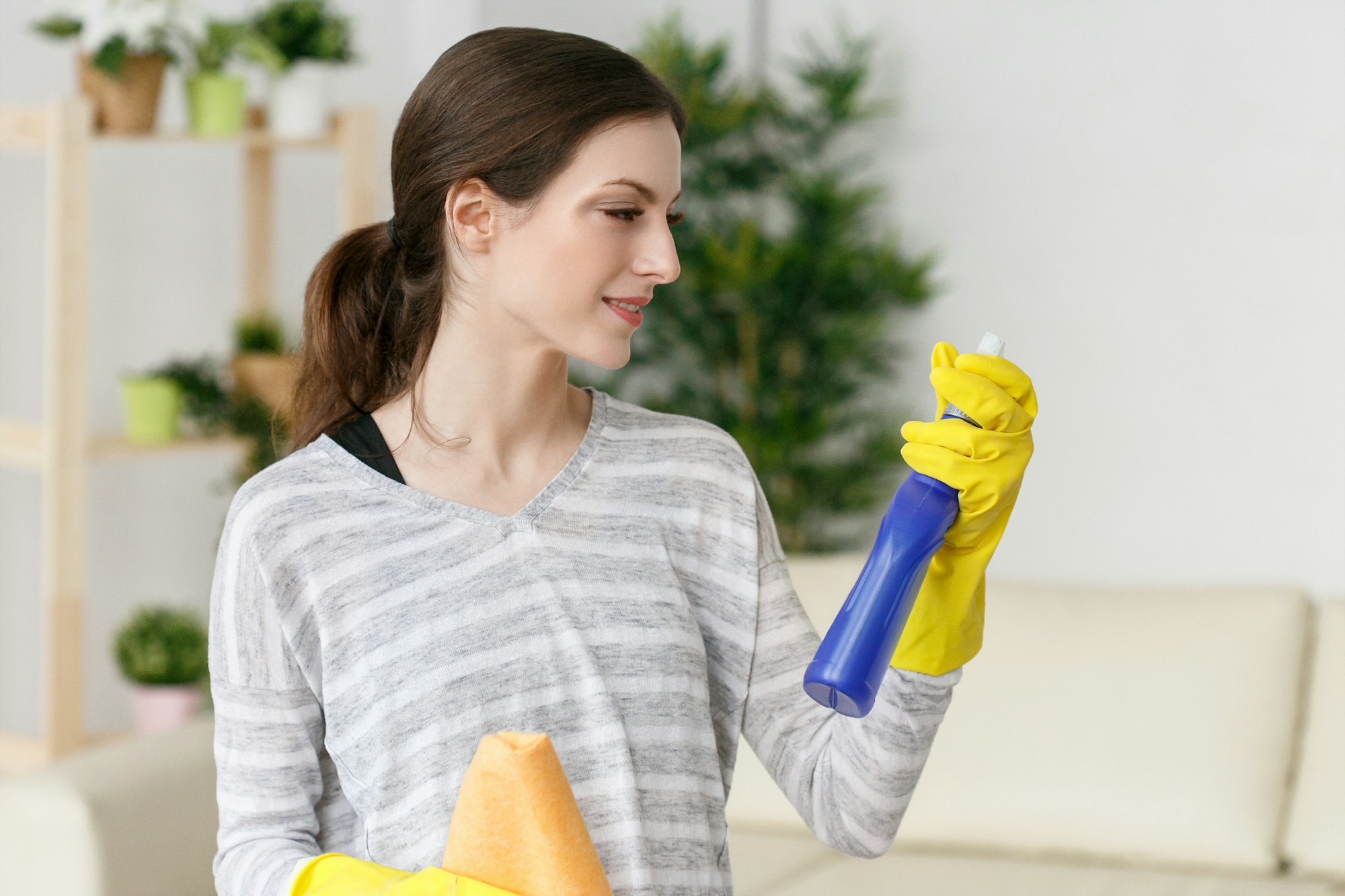 Woman housework cleaning house